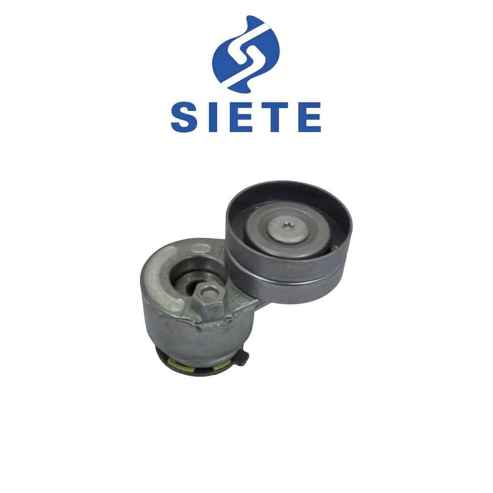 

950627 09109566 Belt Tensioner FOR CARISMA