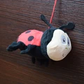 Mini mariquita