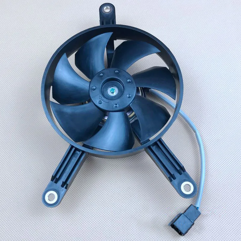 Motorcycle Cooling Fan Water Tank for Kymco Xciting 250 300 Ct250 300 Peoples250