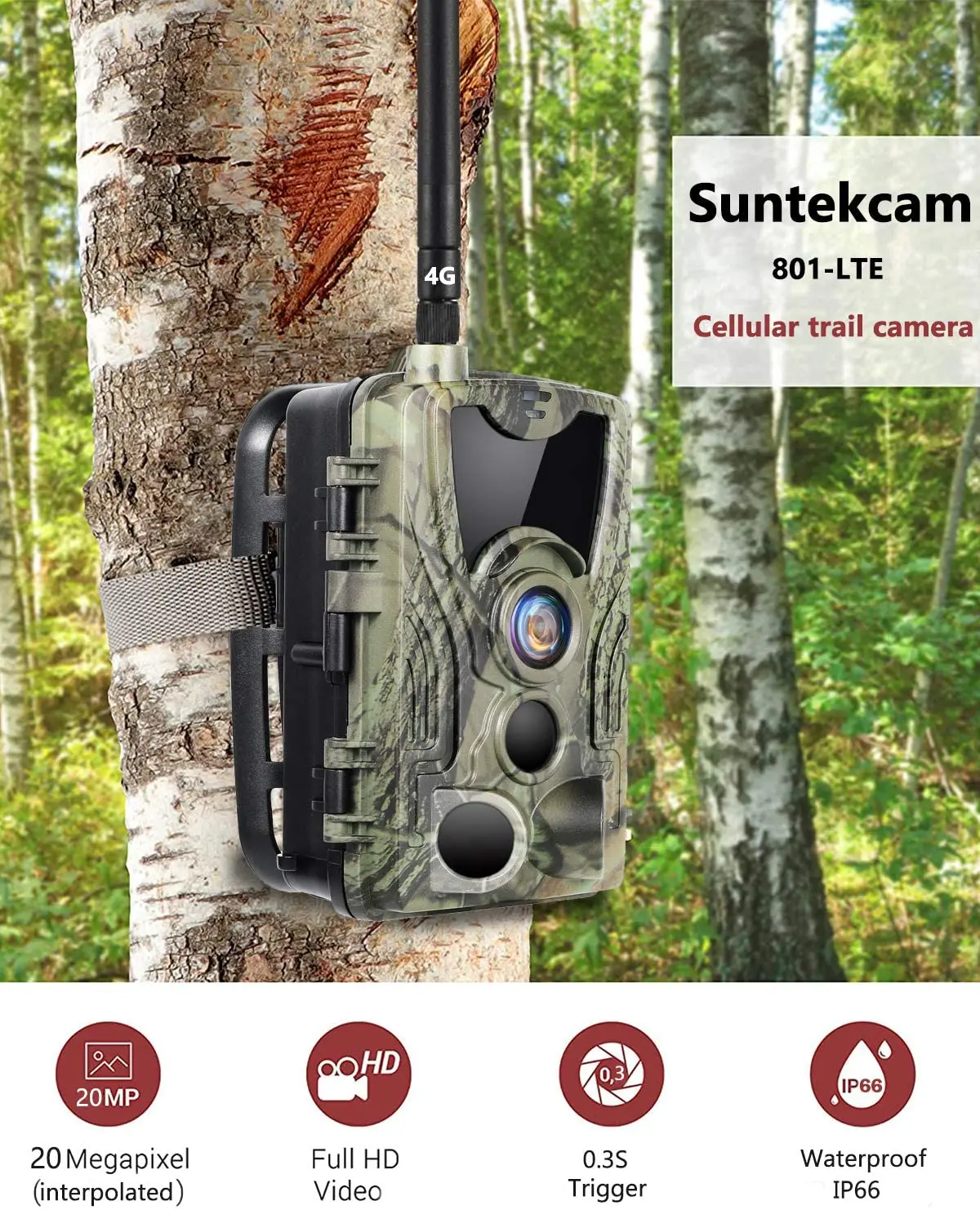 Imagem -02 - Suntekcam-câmera de Trilha para Caça 4g Lte Ftp Smtp Mms Sms para Áreas Externas 1080p Full hd à Prova Dágua Visão Noturna Ip65 20mp