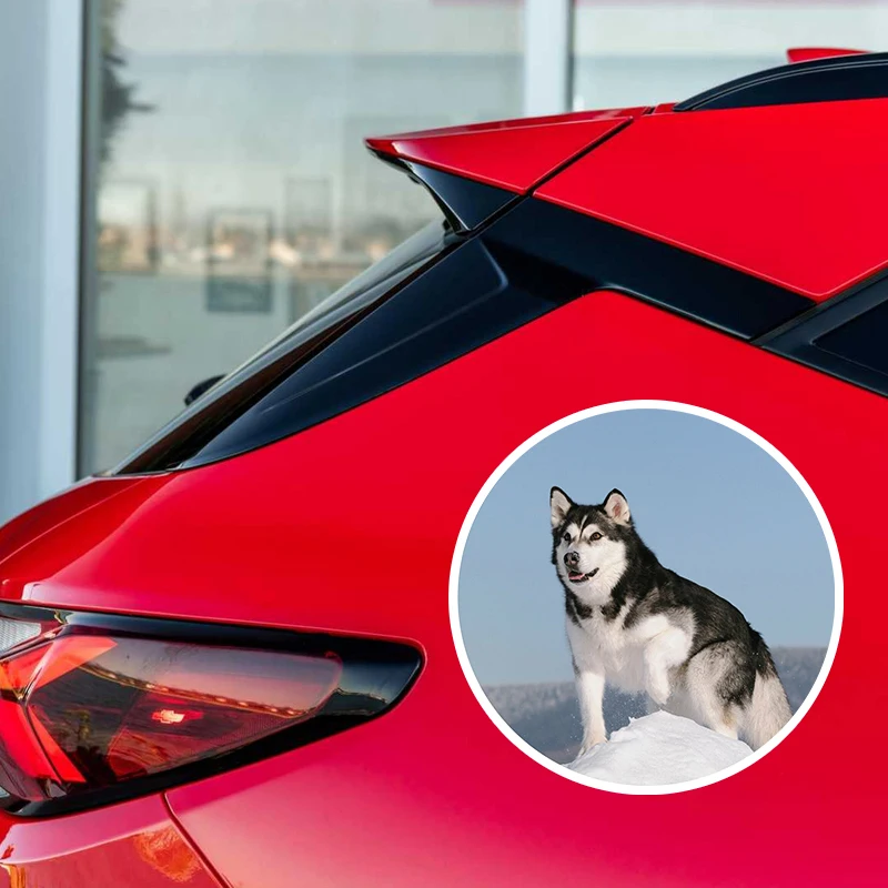 S60023# Alaskan Malamute Husky Dog Adult Self-adhesive Decal Car Sticker Waterproof Auto Decors on Bumper Rear Window Laptop