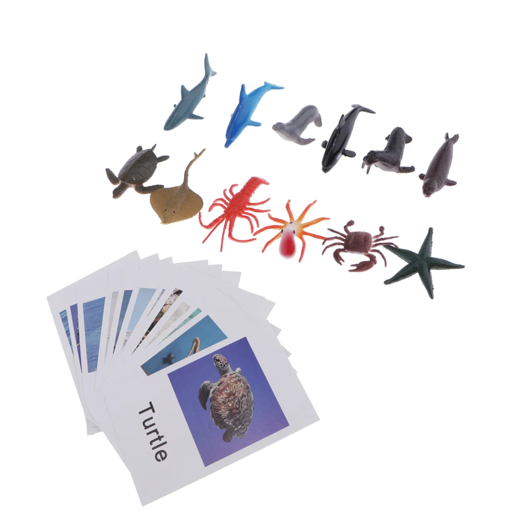 Montessori Ocean Animal Match Cards and Figurines, Matching Game Learning Toy, Language Materials