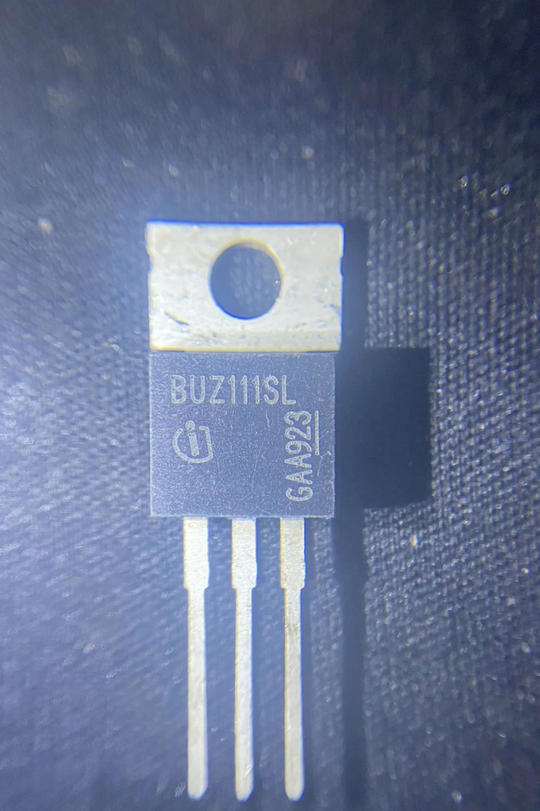 10 pz/lotto BUZ111 BUZ111SL TO-220 100% nuovo spedizione gratuita