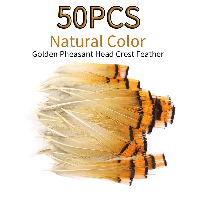 Wifreo Pluma Faisán Dorado Natural para Atar Moscas - imagen 3