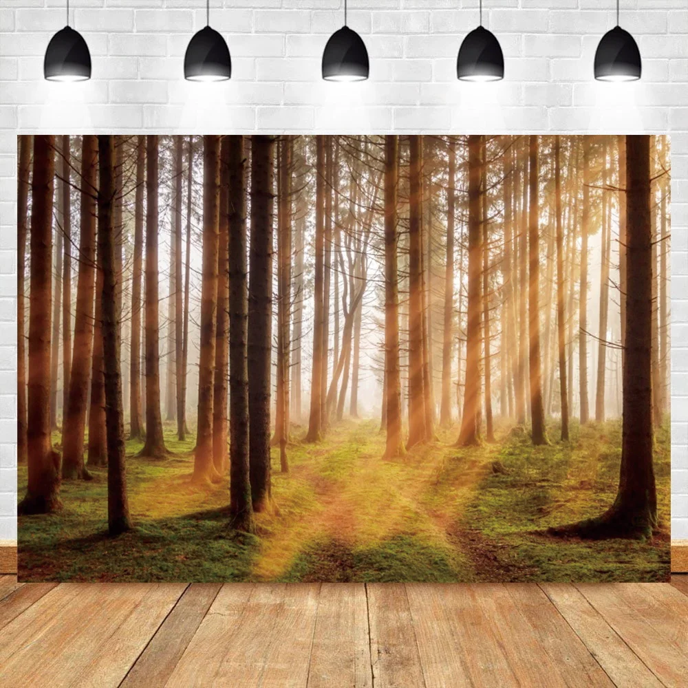 Laeacco Autumn Forest Sunshine Photographic Backdrops Green Grassland Nature View Poster Child Photocall Banner Photo Background