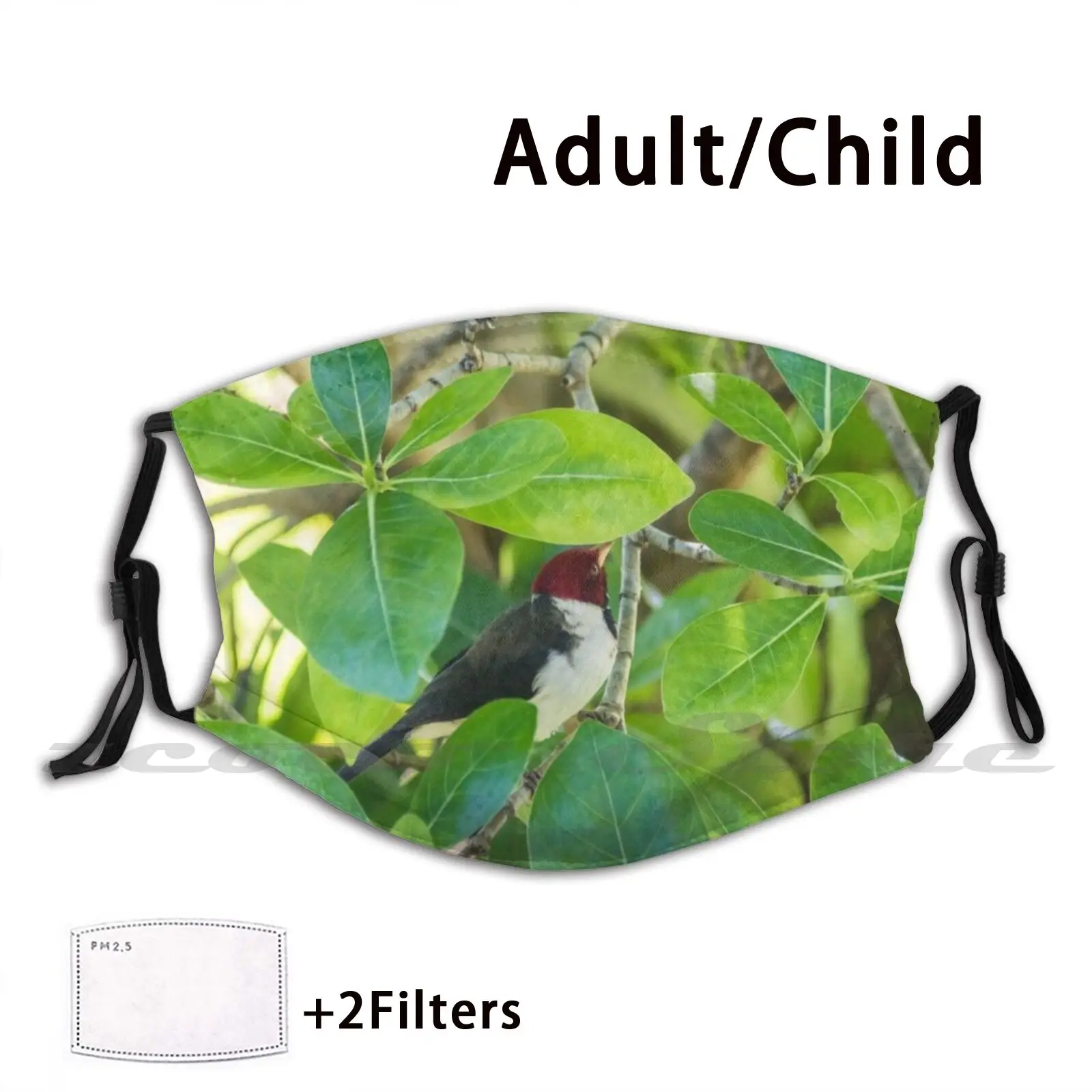 Red - Crested Cardinal Of Hawaii 4 Mask Diy Washable Filter Pm2.5 Mouth Trending Big Island Hawaii Bird Kailia Red Crested