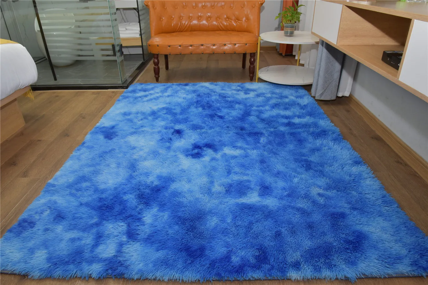 Soft Shaggy Area Rug for Bedroom Fluffy Rug with Non-Slip Bottom Plush Fuzzy Cute Carpet Modern Furry Home Decor Carpet Kids Rug