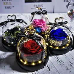 Beauty and Beast Natural Eternal Flowers Forever Preserved Rose In Glass Dome W Led Valentine Birthday Christmas Gifts for Her