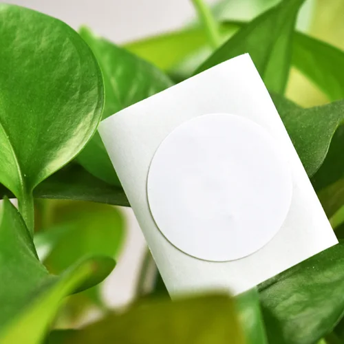 Imagen 2 del producto 50 unids/lote 25mm/38mm blanco NFC 213 pegatinas protocolo ISO14443A 13,56 MHz etiquetas universales todos los teléfonos NFC