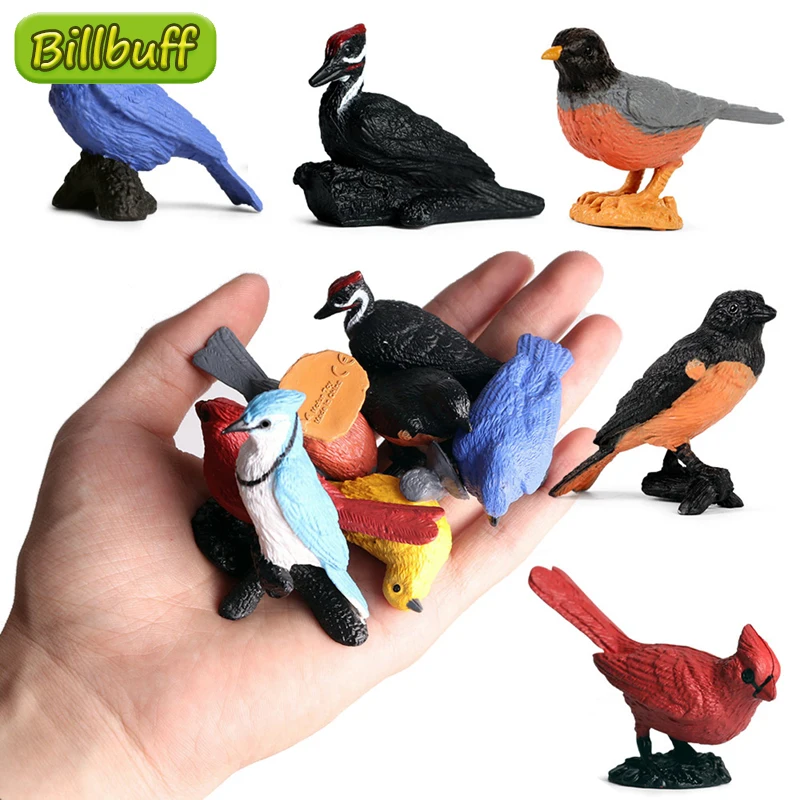 7pcs Simulation Bird Animal Model Sets Oriole Woodpecker Robin Action Figures Early Educational toys for children Christmas gift