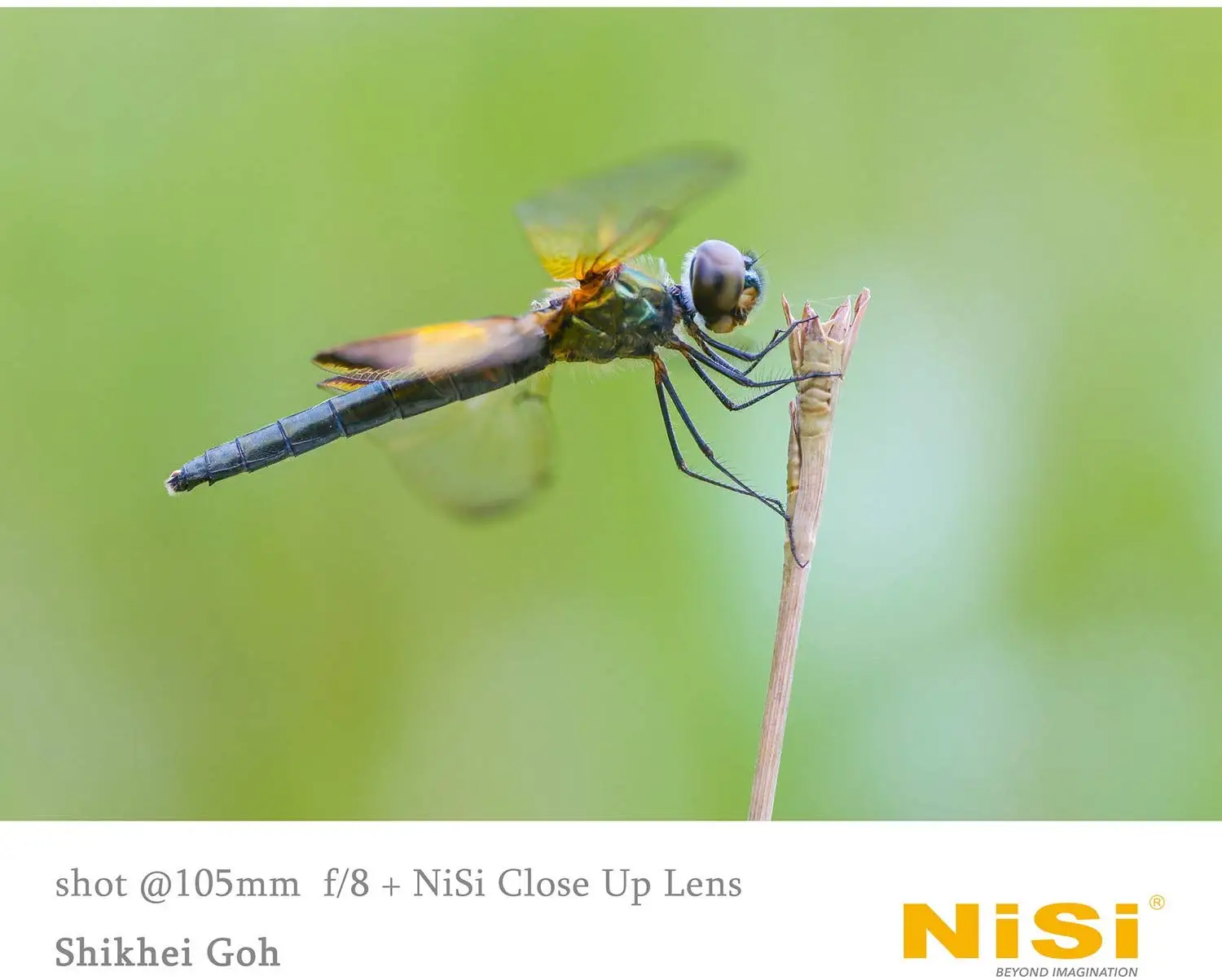 NiSi Close Up Lens Kit NC 67 millimetri 72 millimetri 77 millimetri SIM Card e Adattatori MC Close-up Lens Filter