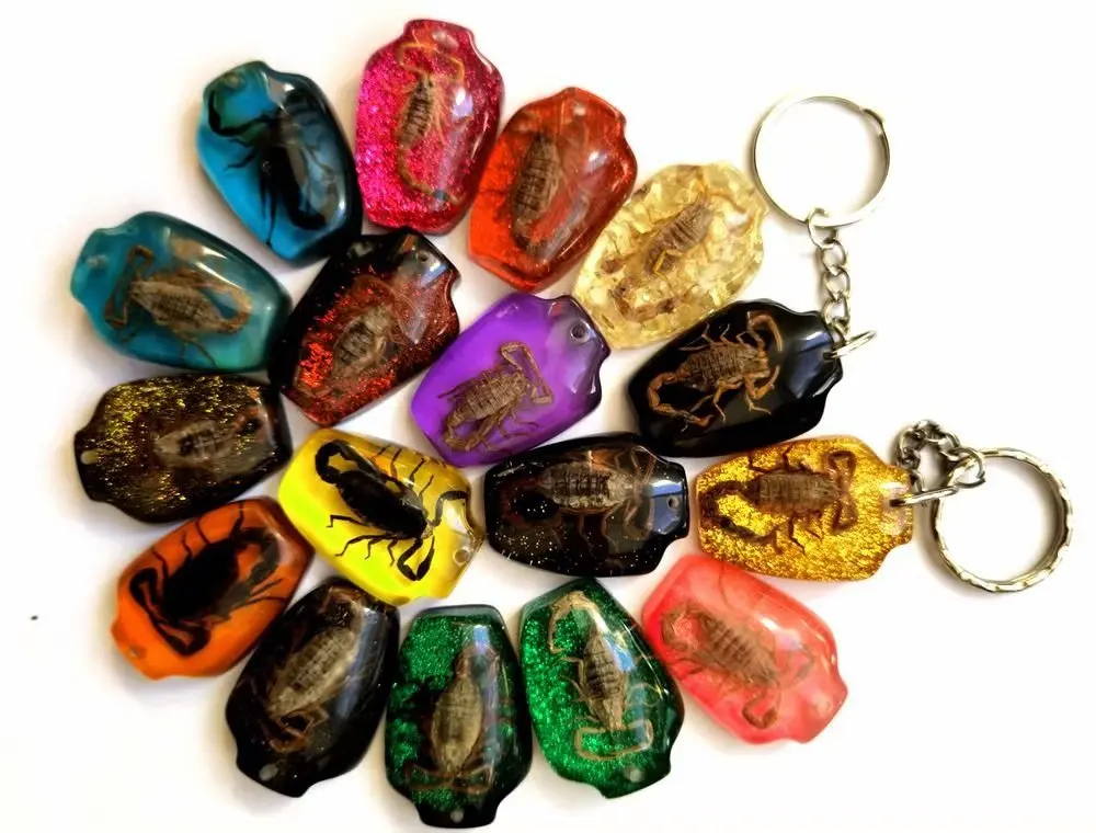 YQTDMY 12 pcs vase design fashion real scorpion keychain Insect Specimen keychain Crafts