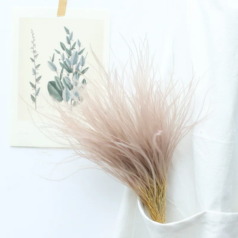 Dried Feather Grass Preserved Flowers,Dry Flower Natural Immortal Plant,Party Wedding Bouquet Flower Home Table Decoration