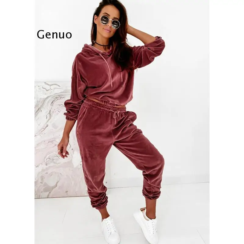 Autumn Velour Tracksuit Womens Velvet Set Woman Tracksuit Sets Winter Velvet Suit Two Piece Set Women 2 Piece Outfits