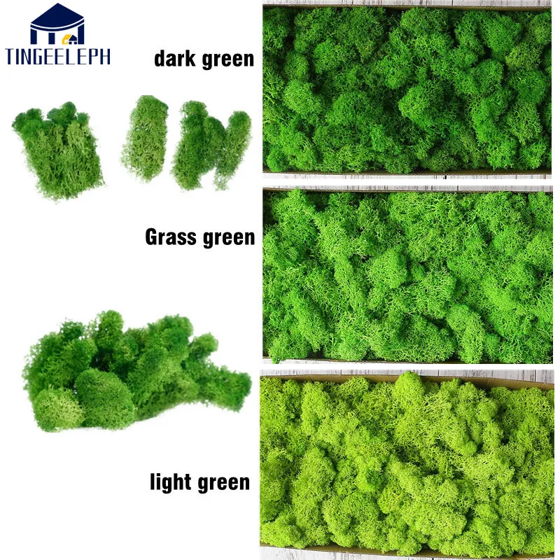 200g/1 box Green Natural Preserved Moss Lasting Preserved Home Garden Wedding Decoration supplies Moss FlowerArtificial plant