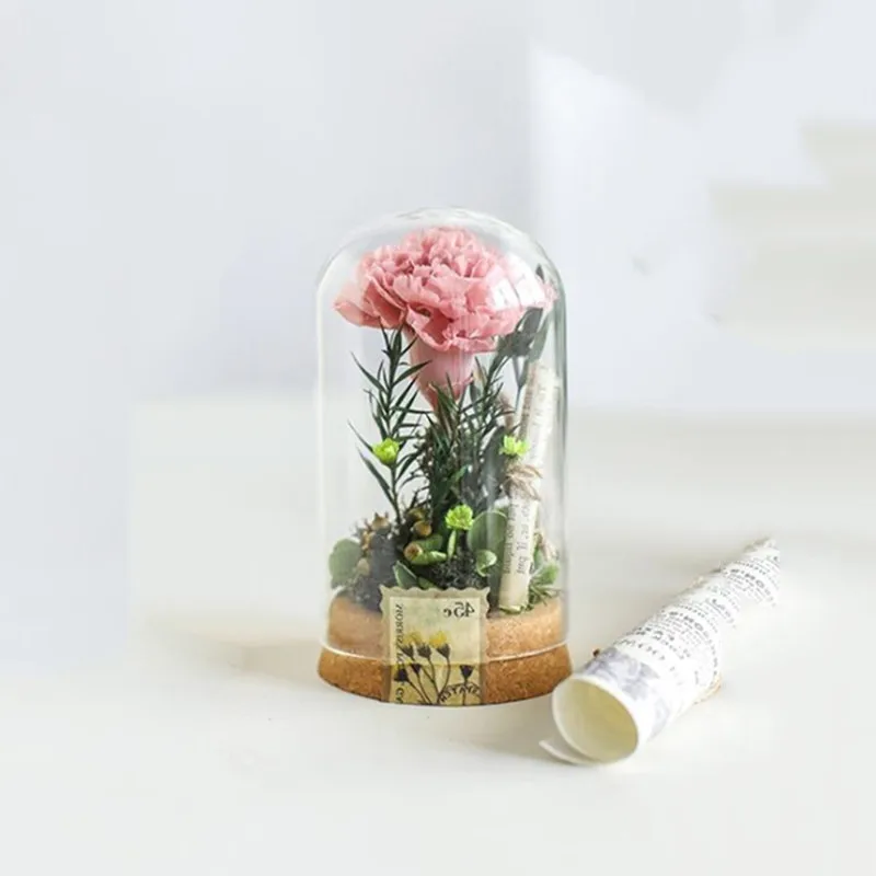 2sets/pack 6*12cm Mini Size Glass Dome Vase Home Table Deocration Cork Base Transparent Cover Wedding Prop Friend Gift