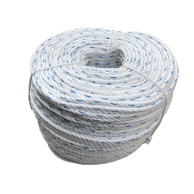 High-Strength Nylon Rope, Linen Rope, Tied Rope, Anti-Sun, Waterproof, Polyethylene Goods, Braided Goods, Diameter 10mmx10/20m