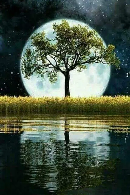 JMINE Div 5D moon tree sea ocean Full Diamond Painting cross stitch kits art High Quality Scenic 3D paint by diamonds