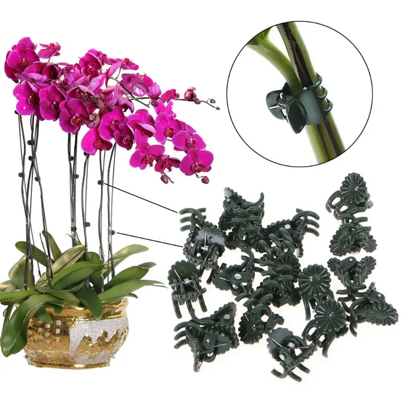 

Plant Support Clips Garden Flower Orchid Stem Clips For Vine Support Vegetables Tied Bundle Branch Clamping Holding Plant Stems