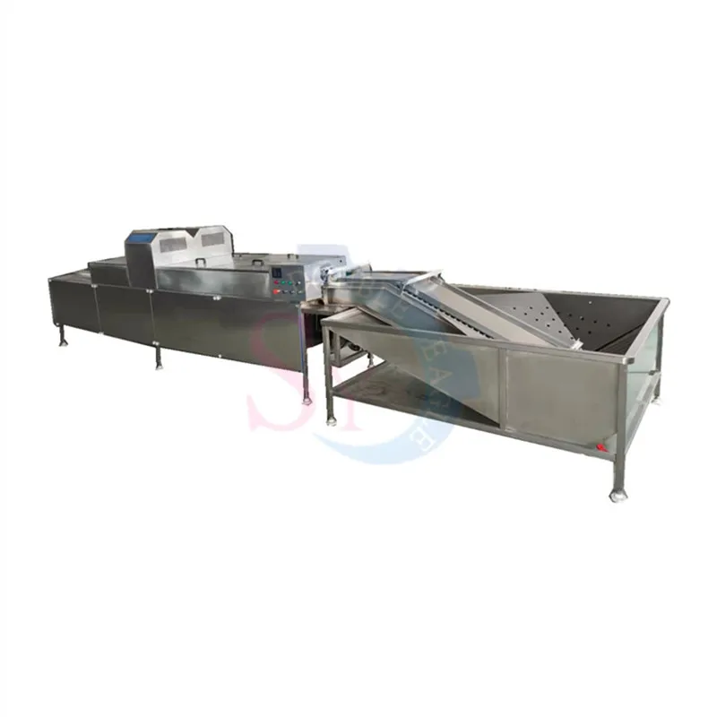 2021 Big Capacity Automatic Egg Washing Machine Single Row Egg Washer Duck Egg Cleaning Processing Equipment For Poultry Farm