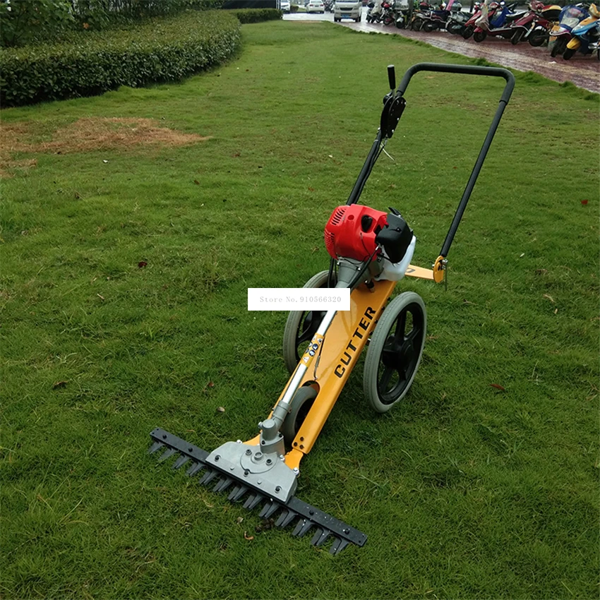 Hand-Pushed Lawn Mower Multifunctional Four Stroke Mini Gasoline Reel Mower Agricultural Orchard Brush Cutter Garden Tool 700W