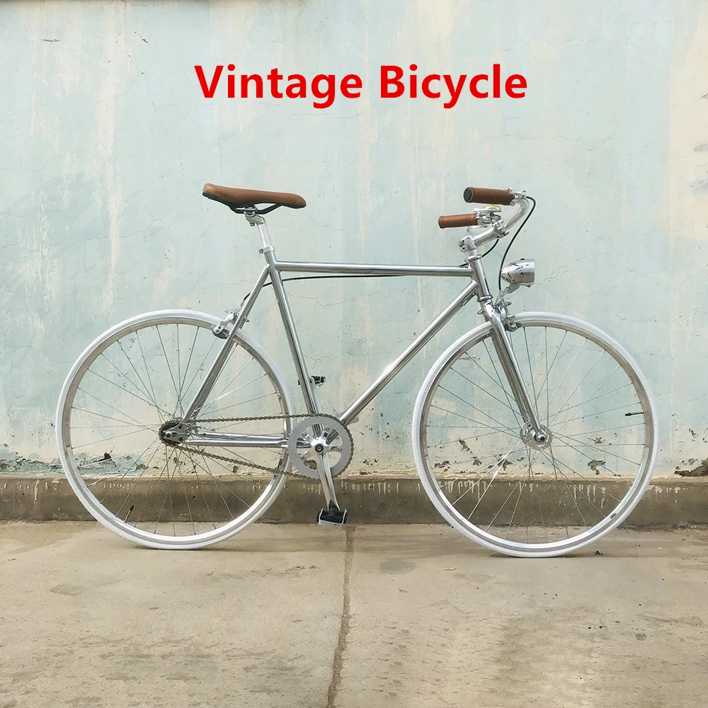 Vintage Bicycle Silver Steel Frame With Light Single Speed Woman Bike Lady Commuting Cycling