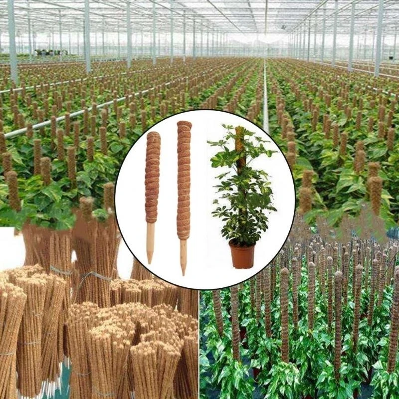 Garden tool 30/40/50cm Plant Climbing Pole Coir Moss Stick Extendable Plant Support For Climbing Plants Vines And Creepers