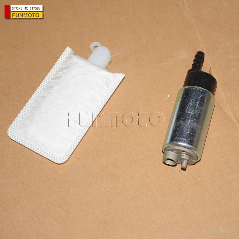 1pcs fuel pump motor and filter net suit for CF250/CF JETMAX 250  spring motorcycle 250-6