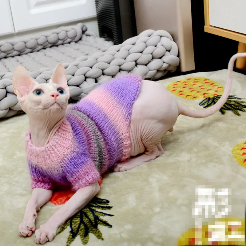 [MPK Store] Cat Sweater Rainbow Cat Hoodies for Canadian Sphinx