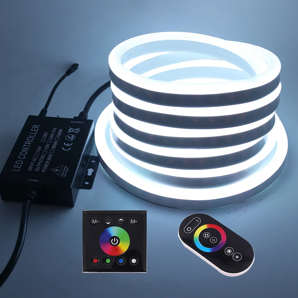 

220V RGB LED Strip Neon Light With Panel Remote Control 5050 2835 Flexible LED Neon Sign Night Light Waterproof Ribbon Tape