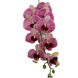 One Latex Butterfly Orchid Flowers 9 Heads Real Touch Good Quality Artificial Phalaenopsis Orchid 40
