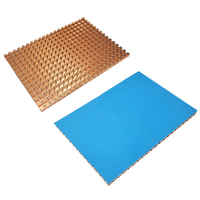 Pure Copper Ultra Thin Laptop Notebook Mechanical Hard Disk Heat Sink HDD SSD Cooler HeatSink Cooling 2.5 Inch 100x70x2/3/4mm