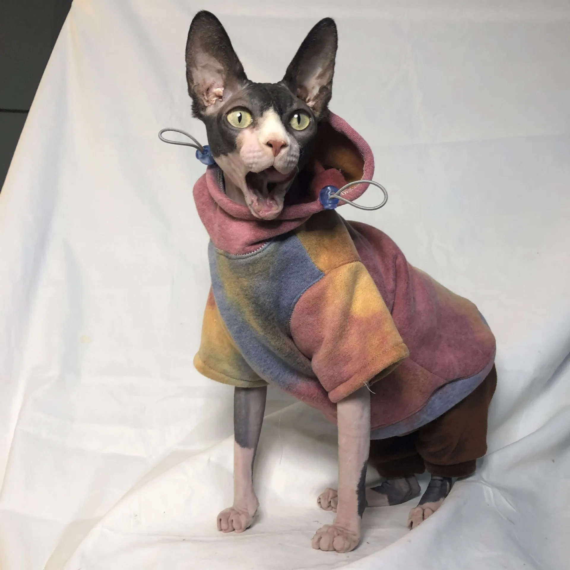 Pet Cat Sweater Dogs Plus Fleece Warmth Thick Clothes Tie-dye Hooded Sweater British Short Hairless Cat