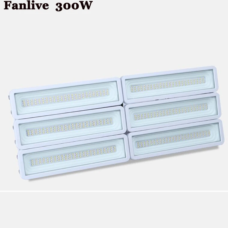 

Fanlive 5PCS SMD 100W 150W 200W 300W 400W Flood Lamp High Power AC220V Foco LED Cob Floodlight Exterior Flood Light