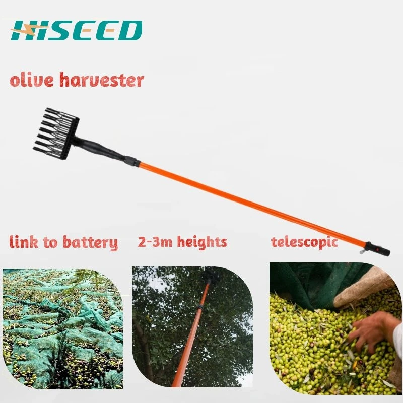 HISEED 2-3m  electric telescopic olive harvester for sale