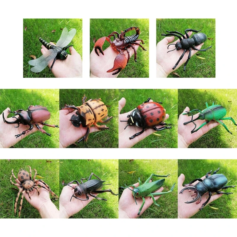 Simulation Wildlife Model Ornaments Realistic Insect Figure Children Educational Props Scene Decoration Kids Learning