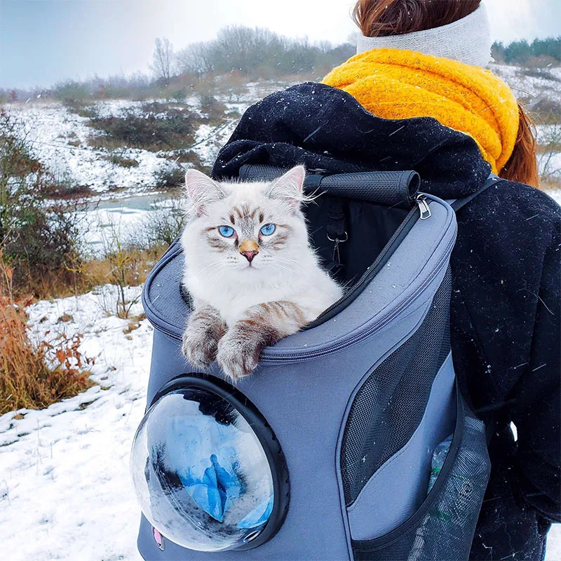 Imagem -03 - Astronauta Pet Carrier Mochila para Gato e Cachorro Bolha Leve Cápsula Espacial Respirável Bolsa de Viagem Exterior Alta Qualidade