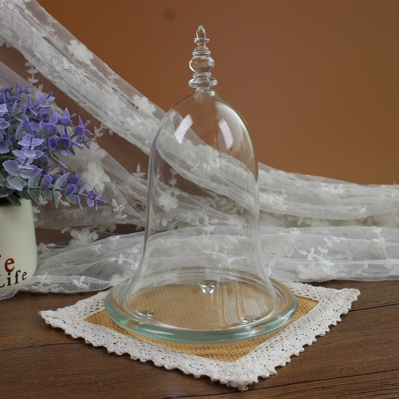 15*20cm Design Higher Top Glass Dome Vase Home Decoration Different Base Creative Little-Prince Cover Friend Gift Wedding Prop