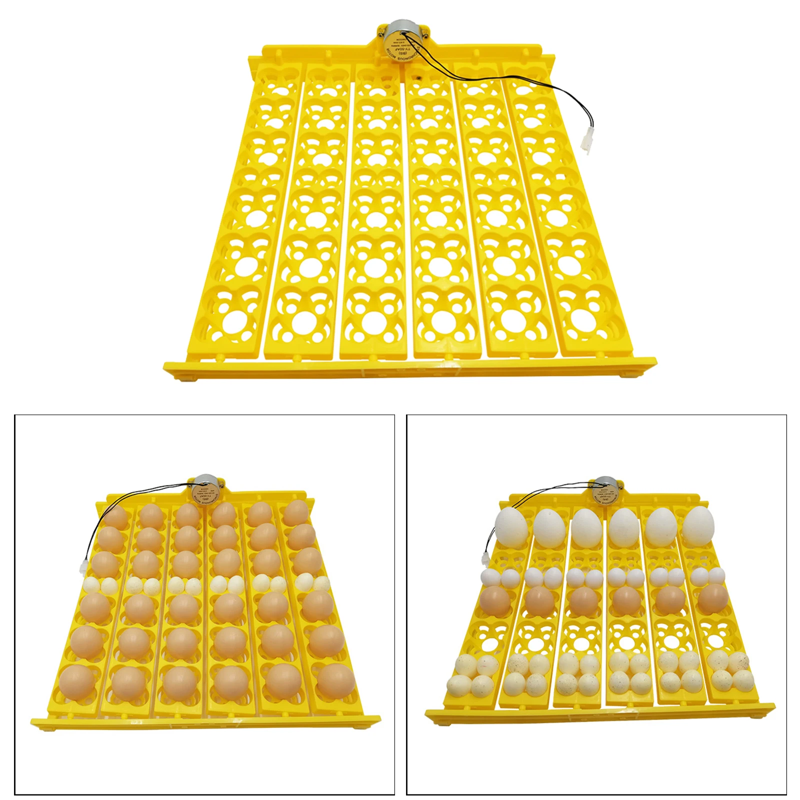 Eggs Incubator Automatic Turning Tray with Motor Farm Poultry Hatching Device for 36 Chicken Eggs, or 156 Quail Eggs, EU Type