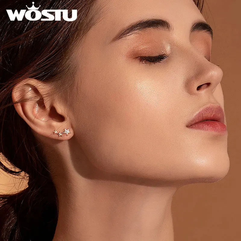 WOSTU Authentic 925 Sterling Silver Fairy Wings Star Unicorn Stud Hoops Earrings Women Opal Party Wedding Fine Jewelry Gift