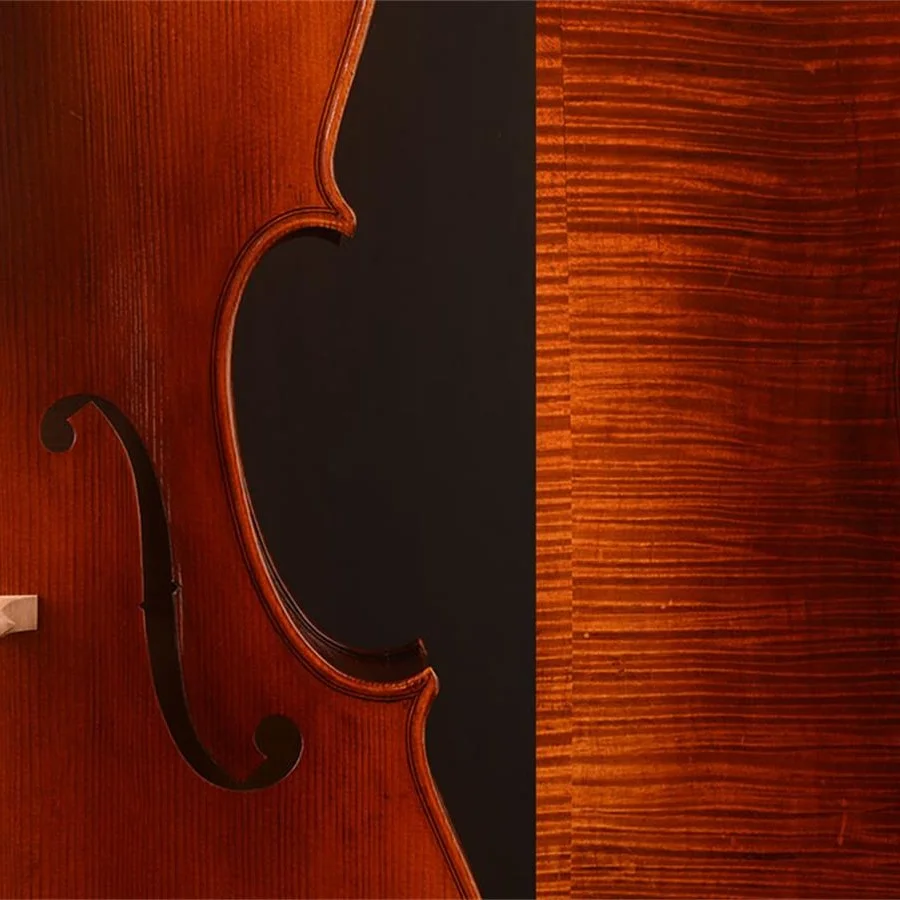 Yitamusic!A Best Model Cellos MC7000/T20/M20 for Professional Players