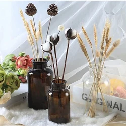 Nordic Glass Vase Home Creative Jewelry Ornaments Transparent Dried Flower Hydroponic Small Brown Bottle Vase Bedside Decoration