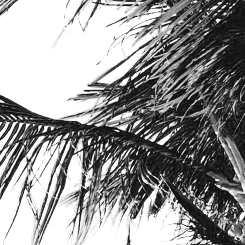 Black and White Coastal Surfing Landscape Posters & Prints Sea Wave Surfboard Photography Pictures Canvas Painting Home Decor