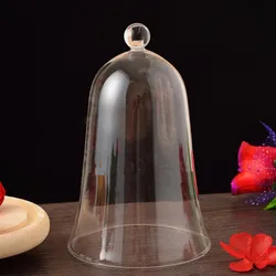 Bell Shaped Glass Dome Vase, Home Decoration, Transparent Cover, Wedding Prop, DIY Friend Favor Gift, Big Size, 15x24cm