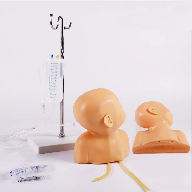 

Chinon Infant Scalp Venipuncture Model Neonate Head Intravenous Injection Training Moudle Medical Teaching Manikin BIX- HS6/3