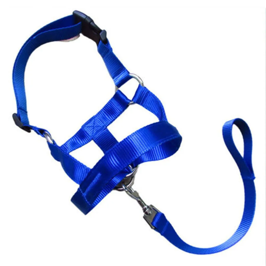 Training Puppy Head Collar Halter Pet Mouth Traction Set Dog Muzzle Leash Leader No Pull Strap S-XXL