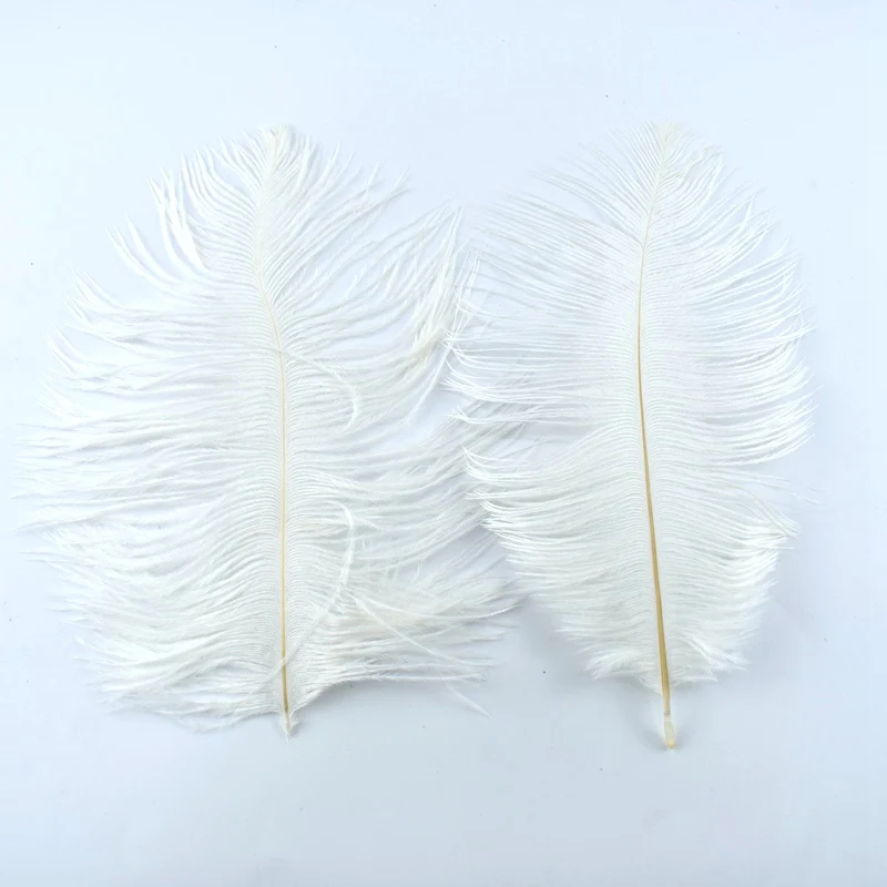 wholesale Natural ostrich Pheasant feathers for crafts DIY peacock feathers for jewelry making Home party decoration plumas