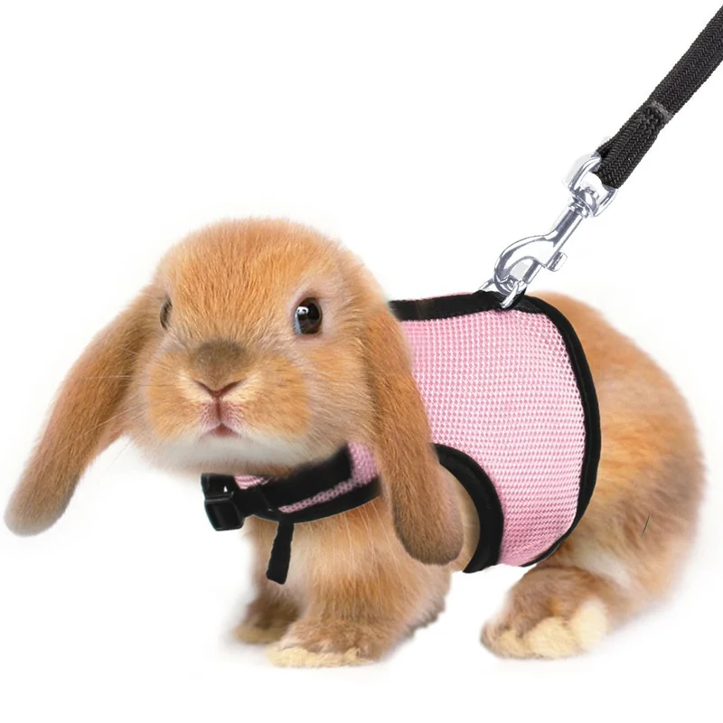 

5 Colors Hamster Rabbit Harness And Leash Set Ferret Guinea Pig Rat Small Animal Pet Walk Harnesses Leades S/M/L/XL