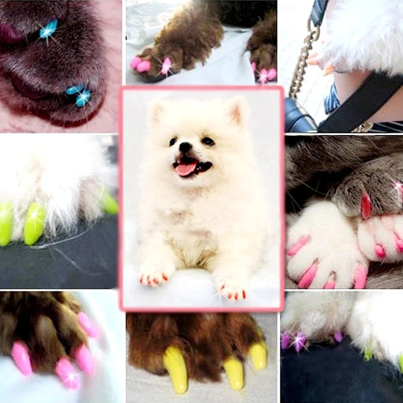 

20PCS Soft Cat Dog Nail Caps Cat Nail Cover Pet Silicon Nail Protector With Free Glue And Applictor Size XS S M L