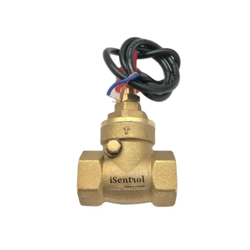 

Baffle Flow Switch USB-FS21TA Normally Open Circuit Flowswitch DC5-36V 70W Max Load Reliable BSP G 1/2" Female Made of Brass